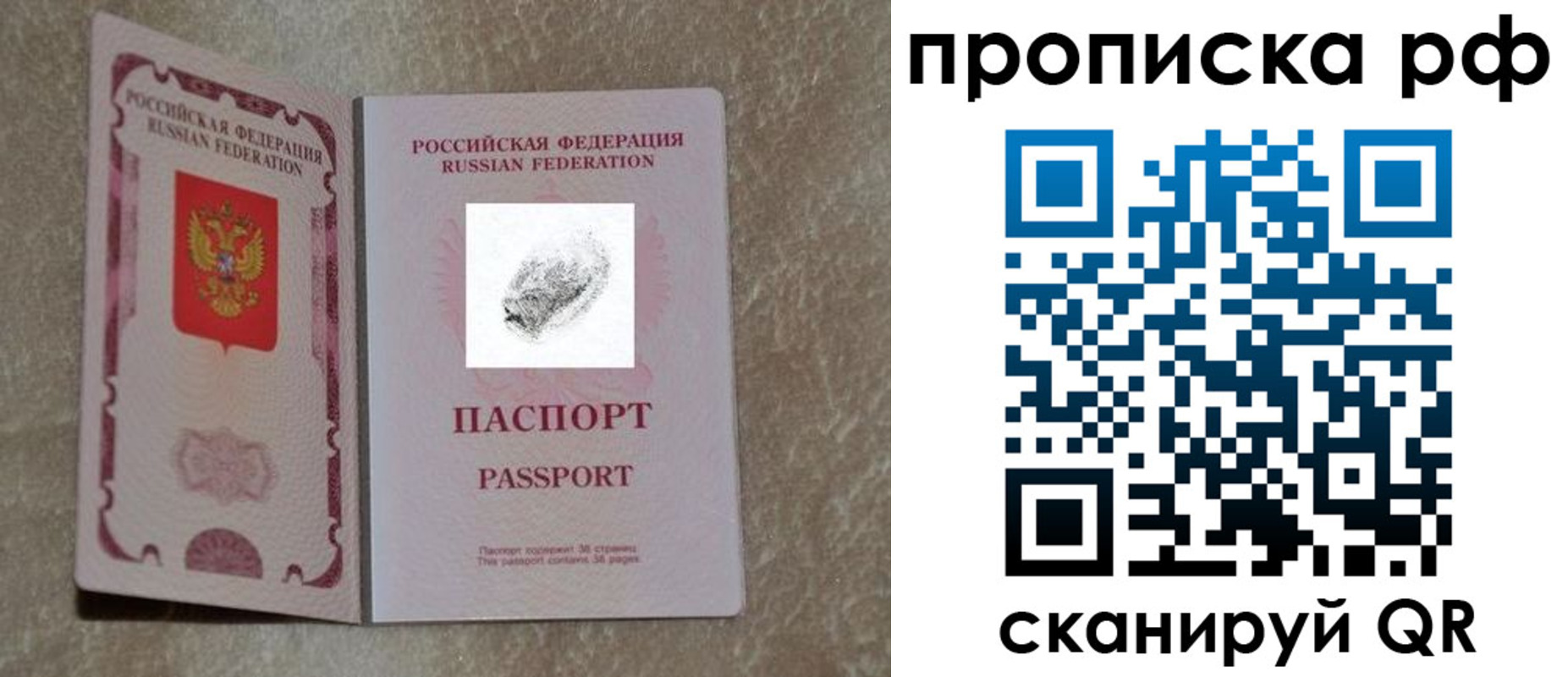 прописка поиск в Алтайском крае